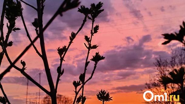 Пасмурно и без солнца: какая погода ждёт новосибирцев в последние выходные марта