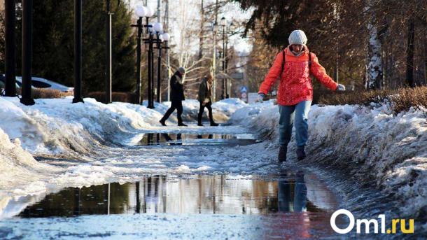 Синоптики рассказали, каким будет начало апреля в Новосибирске