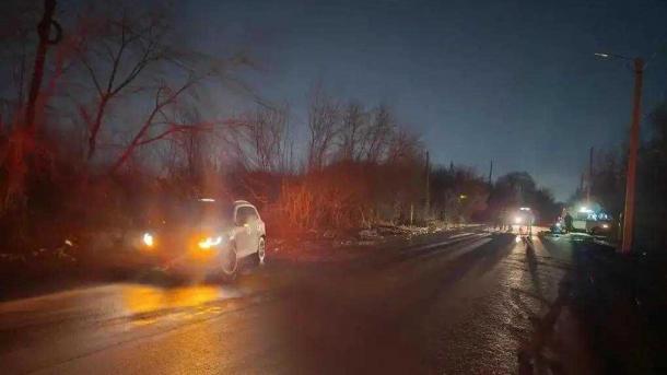 Водитель из Омска насмерть сбил двух пешеходов