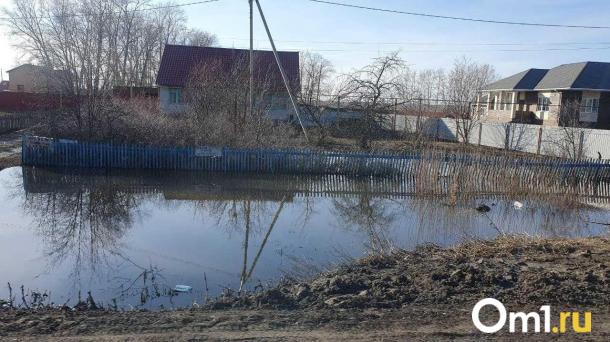 В Новосибирской области готовятся ввести режим повышенной готовности из-за паводка