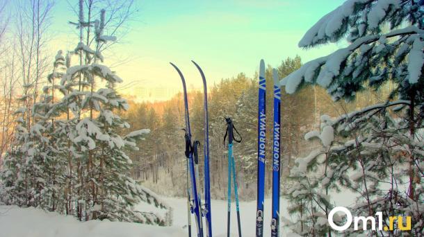 Лыжный сезон в парках Новосибирска официально закрыт
