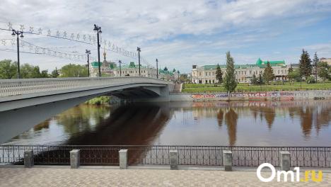Мэр Шелест рассказал, какие деревья появятся на улицах Омска