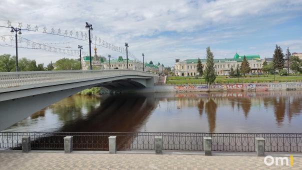 Мэр Шелест рассказал, какие деревья появятся на улицах Омска