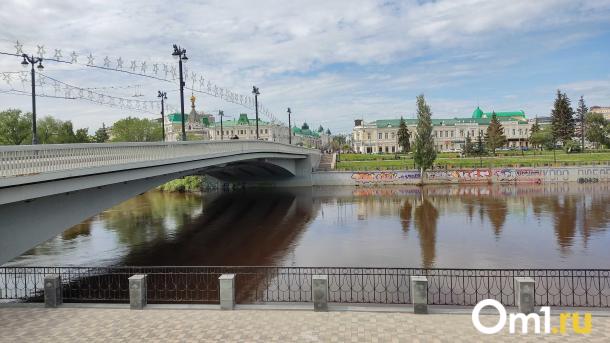 Мэр Шелест рассказал, какие деревья появятся на улицах Омска