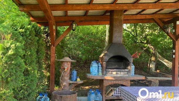 Омичам угрожает крупный штраф за выращивание шалфея на даче