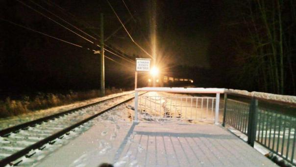 Два груженых вагона сошли с рельсов на станции в Новосибирской области