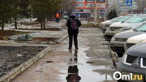 Синоптики рассказали, какая погода будет в Новосибирске в последний день марта