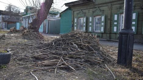 Омичам напомнили: растительные отходы нельзя складировать на площадках для ТКО