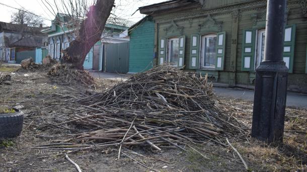 Омичам напомнили: растительные отходы нельзя складировать на площадках для ТКО