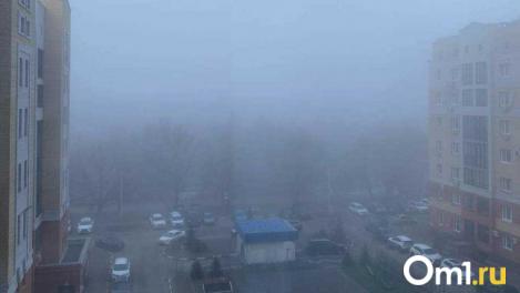 В Омском аэропорту массово задерживаются рейсы из-за густого тумана