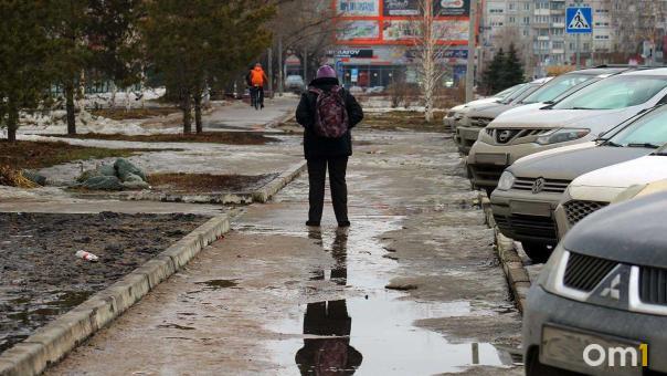 Налоги, пенсии, собаки: что изменилось в Новосибирске с 1 апреля