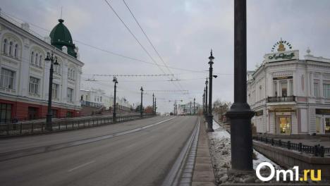 В Омске могут запустить проект «Пешеходный Любинский» с 1 мая