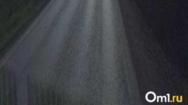 Cезонные ограничения для большегрузов вводятся в Новосибирской области с 13 апреля