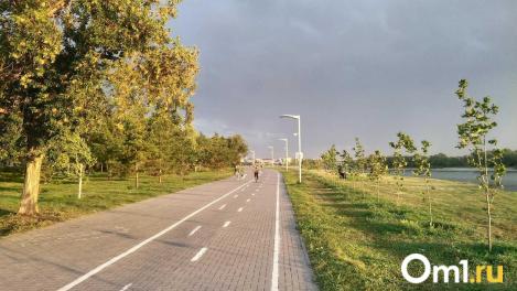 Мэрия победила стоящие самокаты. Может, пора сделать следующий шаг?