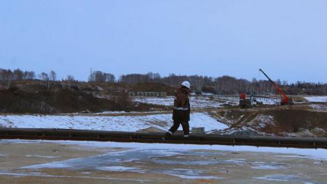 В Коченевском районе сняли плодородный слой почвы на 0,6 га: ущерб 19,8 млн рублей