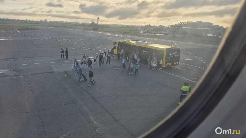 Стало известно, сколько будут стоить билеты из Омска в Краснодар