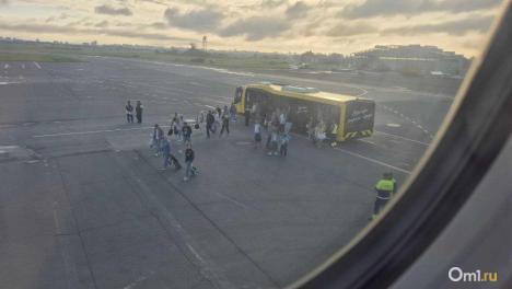 Стало известно, сколько будут стоить билеты из Омска в Краснодар