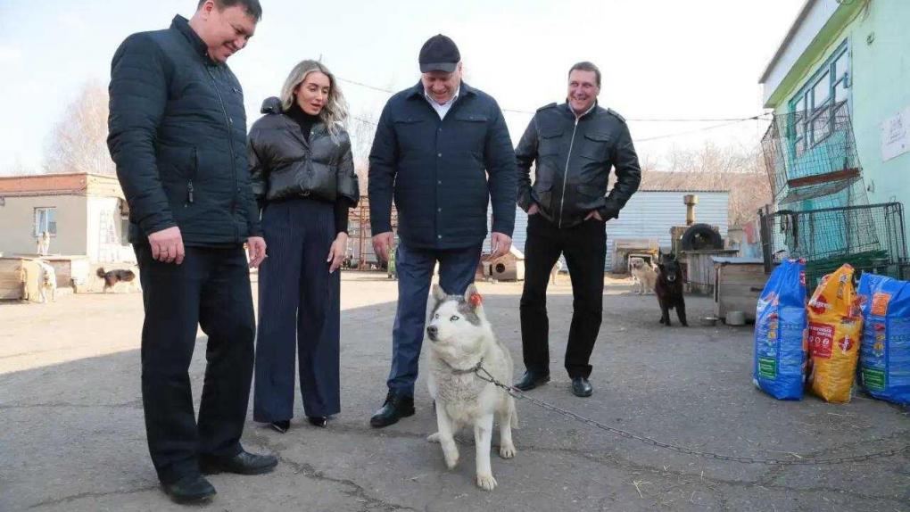 Хаски из омского приюта теперь живёт в Пассажирском предприятии № 8