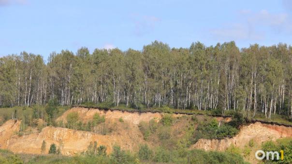 В соседнем с Омском регионе начали гореть леса