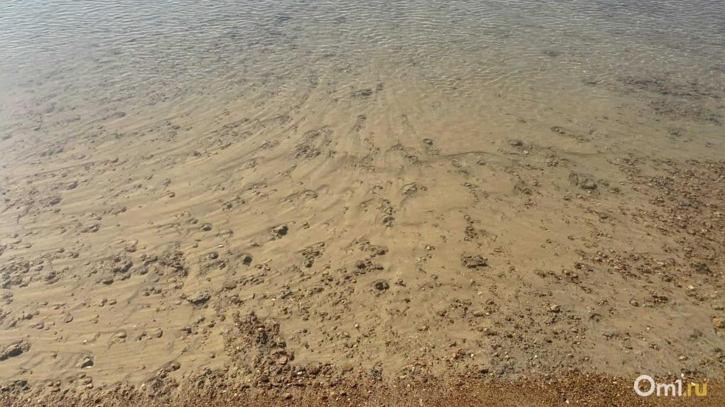 Под Омском выставили на торги участок месторождения песка за 3,6 млн рублей