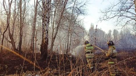 В Омской области введут запрет на костры и мангалы