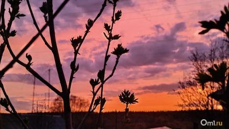 После жарких выходных в Омске немного похолодает