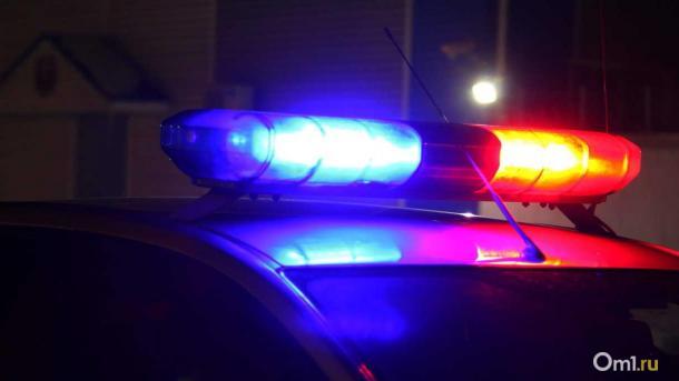 Под Омском автобус сбил насмерть мужчину