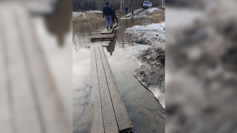 «Нужно Бастрыкину писать»: новосибирцы ходят по самодельному мосту из палет до детской поликлиники в Оби