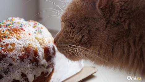 Роспотребнадзор дал рекомендации по выбору куличей перед Пасхой в Новосибирской области