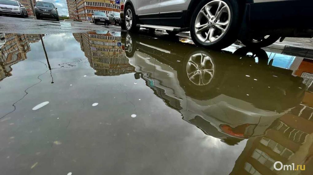 В Омске водителя оштрафовали за отказ снять тонировку