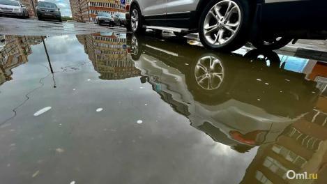 В Омске водителя оштрафовали за отказ снять тонировку