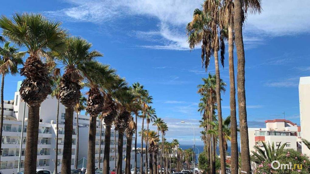 Мошенники обманывают омских туристов через соцсети