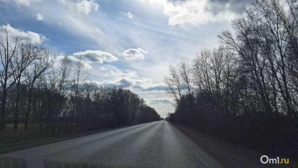 Омичи ехали в Красноярку на микроавтобусе с пьяным водителем