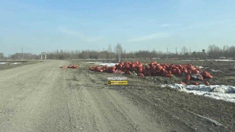 «Овощечесночная диверсия» под Новосибирском: неизвестные на грузовиках превращают дороги трёх сел в гнилую помойку
