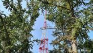 В Новосибирске запустят космическую подсветку на телебашне