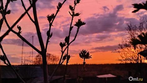 В Омской области к Пасхе выпал снег высотой до трёх сантиметров