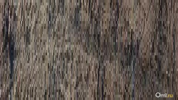 Спасатели откачали 920 кубов воды из домов в Порт-Артурском переулке в Новосибирске