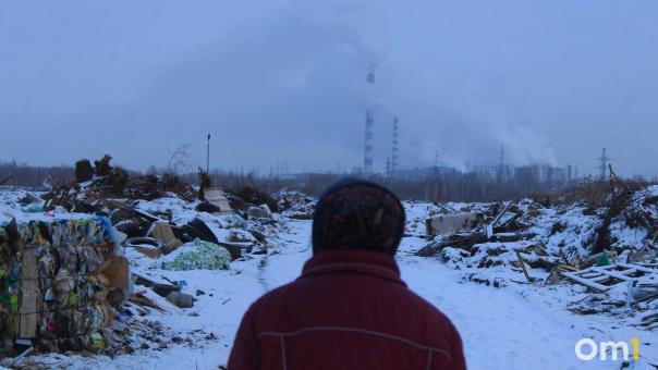 Качество воздуха в Новосибирске оценили как «плохое»
