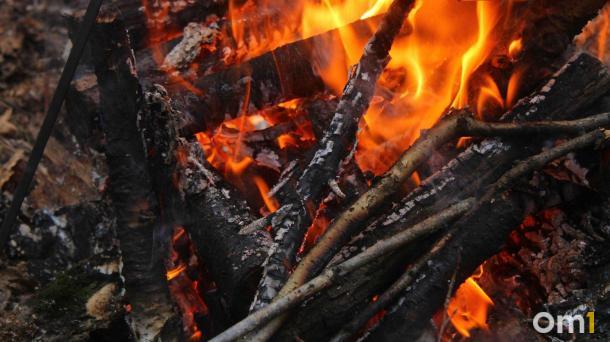 Первый лесной пожар в Омской области произошёл на болоте у села Верблюжье