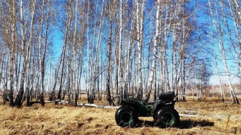 В Омской области полиция и бойцы спецназа задержали четверых мужчин