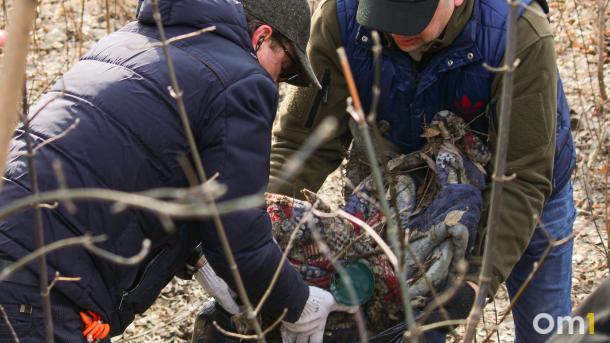 В Омской области пройдут масштабные акции по охране окружающей среды