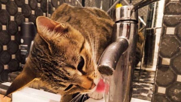 Роспотребнадзор проверил 456 проб воды в Новосибирской области во время паводка