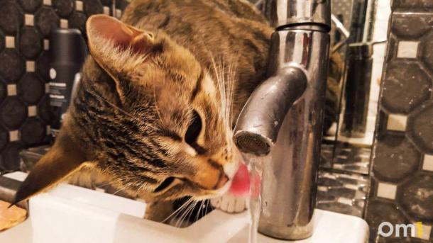 Сразу два округа Омска попадают под отключение холодной воды