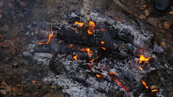 В Новосибирской области запустили круглосуточный мониторинг лесов с помощью ИИ и дронов