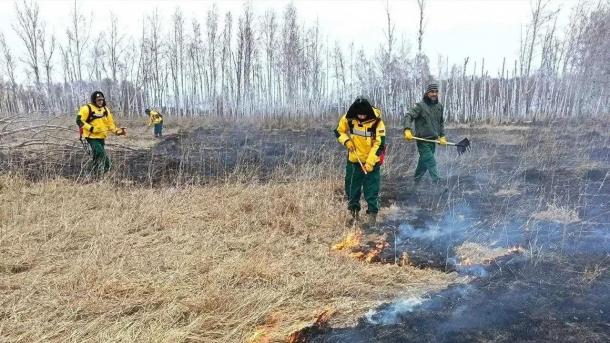 Добровольцы помогли справиться с пожарами в Омской области