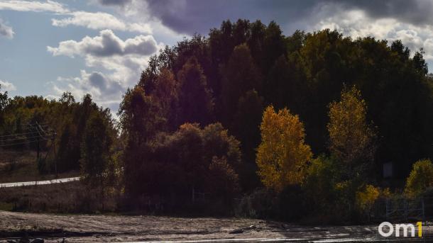 189 садов памяти: в Новосибирской области высадят деревья в честь героев войны