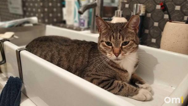 В Черлаке возбудили дело из-за некачественной воды