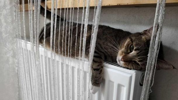 Замерзающие жители многоэтажки: новосибирскую УК оштрафовали за холод в восьми квартирах