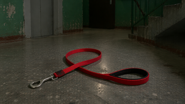 В Кузбассе задержан мужчина, убивший женщину поводком для собак