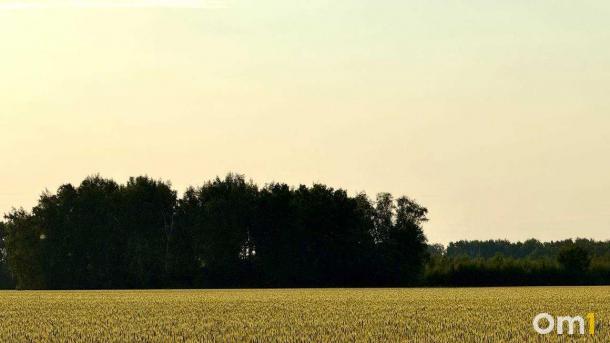 В Омской области проверят сохранность древних курганов и могильников